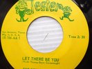 ROYAL JESTERS doowop 45 LET THERE BE YOU b/w I REALLY DON'T WANT TO KNOW  F1140