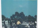 Eliane Radigue - Songs Of Milarepa LP