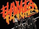 MIGHTY FLAMES - Metalik Funk Band - LP PMG