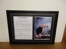 Paul Weller Genuine Hand Signed/Autographed Songsheet with a Photo and COA