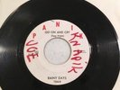 Rare Detroit Garage Rock 45z Rainy Days On Panik. Go On And Cry.
