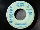 60s NORTHERN SOUL--KENNY HAMBER--ANYTHING YOU WANT / AIN'T GONNA CRY--ARCTIC 131