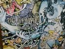 Pig destroyer 12