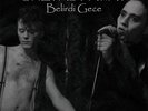 She Past Away – Belirdi Gece LP Fabrika Records – FP008-3 Sealed