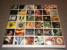 Pearl Jam No Code original 1996 Vinyl LP, Factory SEALED, Rare OOP, Sticker