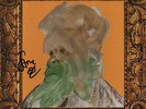 Stone Gossard (Pearl Jam) & Mason Jennings Signed 7