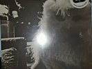 THE GLORY OF THE FRUIT BATS LP sealed vinyl + download RSD RSDBF Black Friday