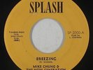 Reggae Soul 45 - Mike Chung & Now Generation - Breezing - Splash - mp3