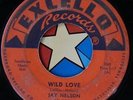 45 RPM record Jay Nelson Excello 2165, wild love b/w to you my darlin 1959