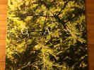 Pop by Gas (Wolfgang Voigt) (Vinyl, Mar-2000, Mille Plateaux)