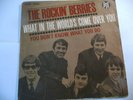 THE ROCKIN BERRIES