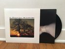 The Mountain Goats- The Sunset Tree vinyl