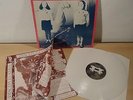 DISCIPLINATHA : ABBIAMO PAZIENTATO 40 ANNI, ORA BASTA     -   LP 1988 + INSERTO