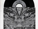 THE PRODIGY - CHARLY 7