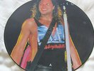 BON JOVI - Slippery When Wet LP Picture Disc Album - Collectors Edition