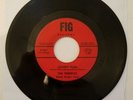 The Terrifics 'Lover's Plea/On The Sea Shore' Rare,Kentucky Garage,FIG Records