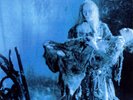 Terminal Choice - Totes Fleisch (Lim.Edt) / EBM & Industrial - Dark Electro