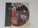 Alkaline Trio/Hot Water Music split picture disc No Idea first pressing rare OOP