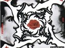 RED HOT CHILI PEPPERS BLOOD SUGAR SEX MAGIK LP VINYL 33RPM BRAND NEW