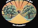 DRAMATICS-WHATCHA SEE IS WHATCHA GET  (US IMPORT)  VINYL LP NEW