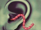 THEE OH SEES An Odd Entrances Blood Orange Vinyl LP +Flexi Ty Segall Castle Face