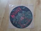Autopsy: Mental Funeral, Picture LP, Vinyl, Death Metal, Black Metal,Top-Zustand