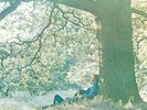 YOKO ONO - PLASTIC ONO BAND - JOHN LENNON RINGO STARR - CLEAR VINYL LP - 2016