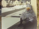 THE WONDER YEARS Suburbia, I've Given You All & Now I'm Nothing LP clear vinyl