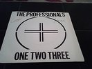 SEX PISTOLS PROFESSIONALS SIGNED PUNK RECORD