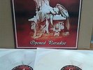 SISTERS OF MERCY      opened paradise     2 LP   coloured