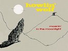 HOWLIN WOLF-MOANIN IN THE MOONLIGHT+4 BONUS TRACKS (180G-VINYL LP VINYL LOV NEU