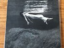 Bill Evans Jim Hall Undercurrent United Artists lp Jazz EAR