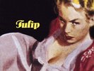 STEEL POLE BATH TUB - TULIP  VINYL LP NEU