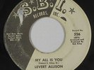 Deep Soul/Funk 45 - Levert Allison - My All Is You - S.B.I. - mp3