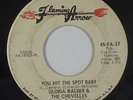 Funk 45 - Gloria Walker & Chevelles - You Hit The Spot - Flaming Arrow - mp3