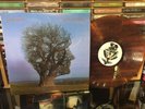 Pink Floyd - Brave New World - Live Madison Square New York 1977 Colored LP