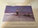 Pinback Blue Screen Life CLEAR 2x Vinyl LP Record  black heart procession NEW