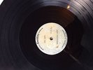 Downliners Sect - The Sect 1st LP on 2 x 12