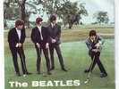 45 giri The Beatles - Eight Days A Week / I'm A Loser - ed. italia 1964 (ottimo)