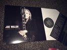 Joe Walsh -Analog Man (Vinyl LP,180g,2012)Classic Rock Eagles guitarist solo