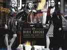 DIXIE CHICKS   TAKING THE LONG WAY (REMASTERED)   2 X 150g VINYL LP   NEW/SEALED