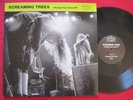SCREAMING TREES   CHANGE HAS COME 12