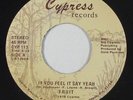 Modern Soul Funk 45 - Fruit - If You Feel It Say Yeah - Cypress - VG++ mp3