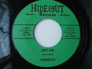 Detroit Garage 45- UNDERDOGS- DON'T PRETEND/ Pretty Girl on HIDEOUT H-1004 VG++