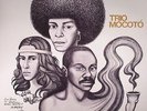 TRIO MOCOTO - Trio Mocoto - Vinyl (LP)