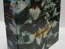 Kate Bush the singles file 1978 - 1983 box set