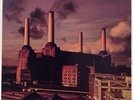 Pink Floyd Animals 1977 Promo Vinyl LP Record JC 34474 MINT 1st Press