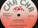 BINGY BUNNY / NICODEMUS - Street Lover / How You Look 12