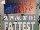 OG 1996 V/A Survival Of The Fattest LP Fat Wreck Chords FAT538 1 NOFX Lagwagon
