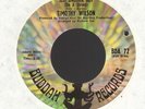 TIMOTHY WILSON Just Another Guy BUDDAH  EX++